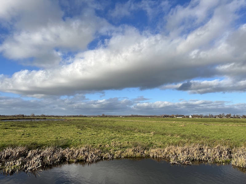 Polder bij Gouda